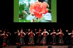 Dancertainment_II_085-915