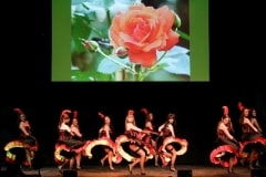 Dancertainment_II_088-918