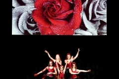 Dancertainment_II_202-1032