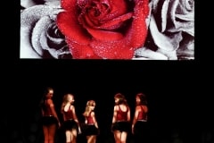 Dancertainment_II_204-1034