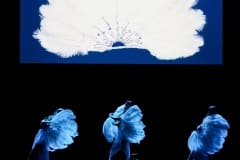 Dancertainment_II_216-1046