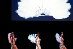 Dancertainment_II_224-1054