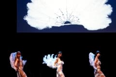 Dancertainment_II_225-1055