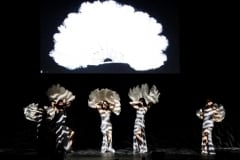 Dancertainment_II_237-1067