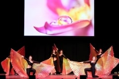 Dancertainment_II_250-1080