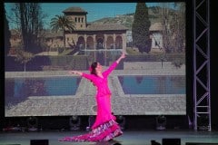 LDV_Helo_Cortes3-1291