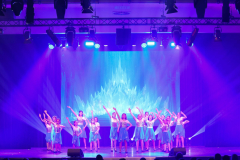 Once Upon a Dance – Viana & Elsa