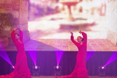 Once Upon a Dance – Bolero