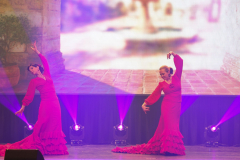 Once Upon a Dance – Bolero