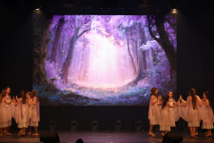 Once Upon a Dance – Celticdream Once Upon a Dance – Celticdream