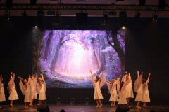 Once Upon a Dance – Celticdream Once Upon a Dance – Celticdream
