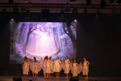 Once Upon a Dance – Celticdream Once Upon a Dance – Celticdream