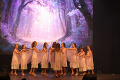 Once Upon a Dance – Celticdream Once Upon a Dance – Celticdream