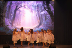 Once Upon a Dance – Celticdream Once Upon a Dance – Celticdream