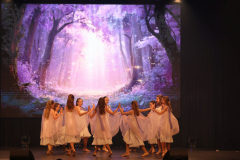 Once Upon a Dance – Celticdream Once Upon a Dance – Celticdream