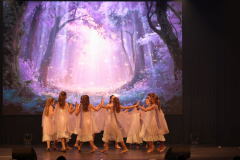 Once Upon a Dance – Celticdream Once Upon a Dance – Celticdream