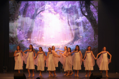 Once Upon a Dance – Celticdream Once Upon a Dance – Celticdream