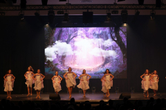 Once Upon a Dance – Celticdream Once Upon a Dance – Celticdream