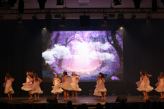 Once Upon a Dance – Celticdream Once Upon a Dance – Celticdream
