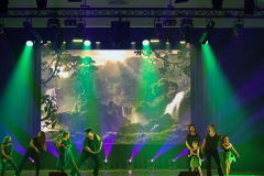 Once Upon a Dance – Tarzan