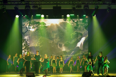 Once Upon a Dance – Tarzan