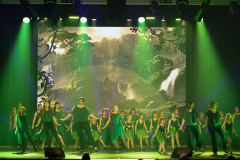 Once Upon a Dance – Tarzan