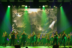 Once Upon a Dance – Tarzan