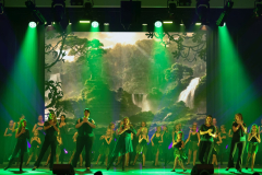 Once Upon a Dance – Tarzan