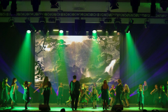 Once Upon a Dance – Tarzan