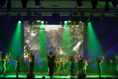 Once Upon a Dance – Tarzan