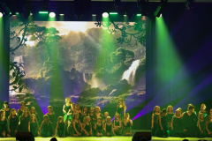 Once Upon a Dance – Tarzan