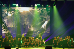 Once Upon a Dance – Tarzan