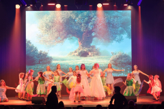 Once Upon a Dance – Alice in Wunderland Once Upon a Dance – Alice in Wunderland