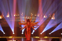 Once Upon a Dance – woman on stage Once Upon a Dance – woman on stage