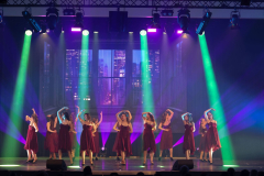 Once Upon a Dance – Rihanna