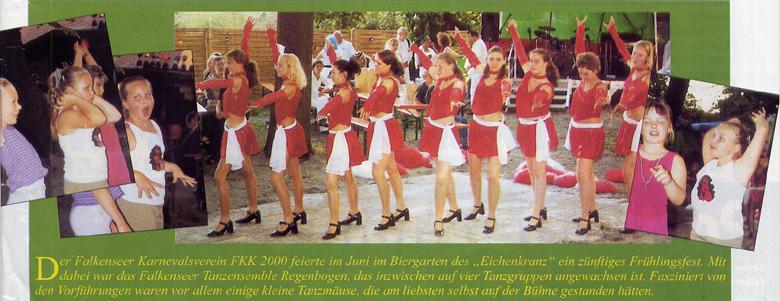 (Falkenseer Stadtjournal - Ausgabe 7 / 2002)