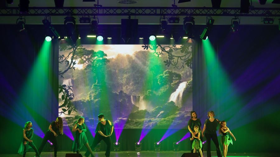 Once Upon a Dance – Tarzan