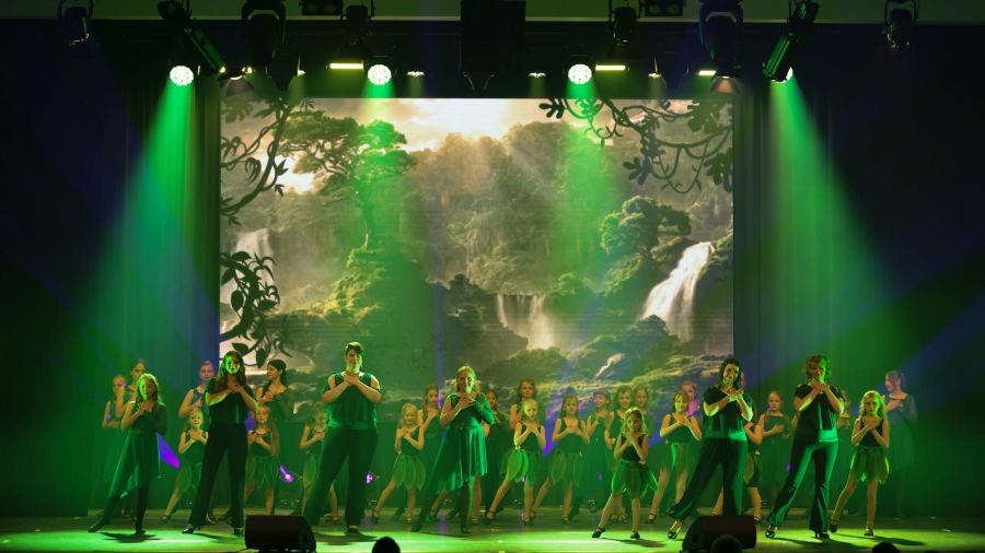 Once Upon a Dance – Tarzan