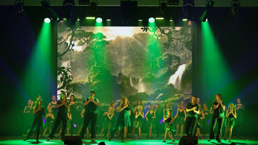 Once Upon a Dance – Tarzan
