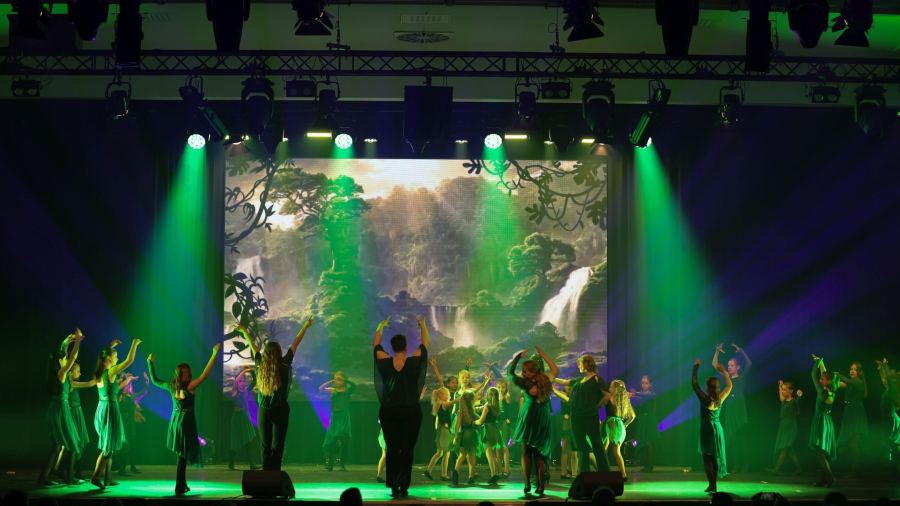 Once Upon a Dance – Tarzan
